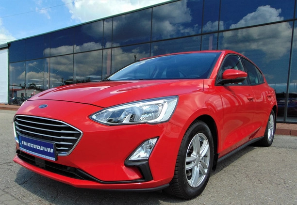 Ford Focus cena 65900 przebieg: 54872, rok produkcji 2019 z Ełk małe 436